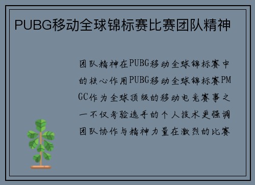 PUBG移动全球锦标赛比赛团队精神